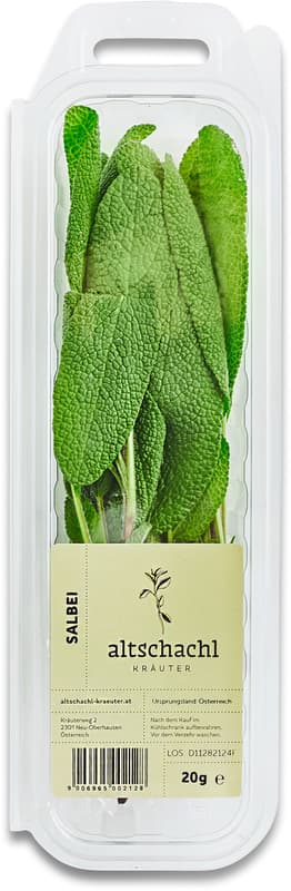 Altschachl Salbei