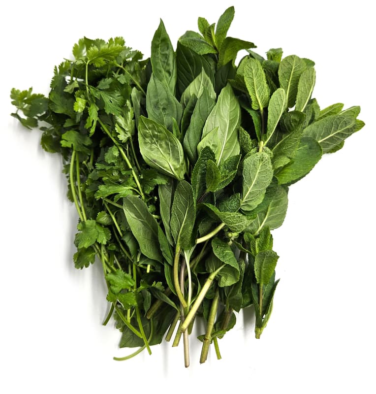 Altschachl Cocktail Herbs: Rosemary, Mint, Thyme