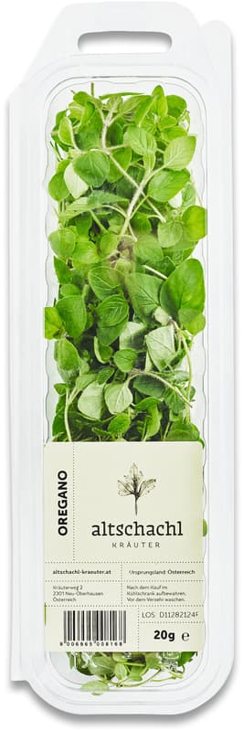 Altschachl Oregano