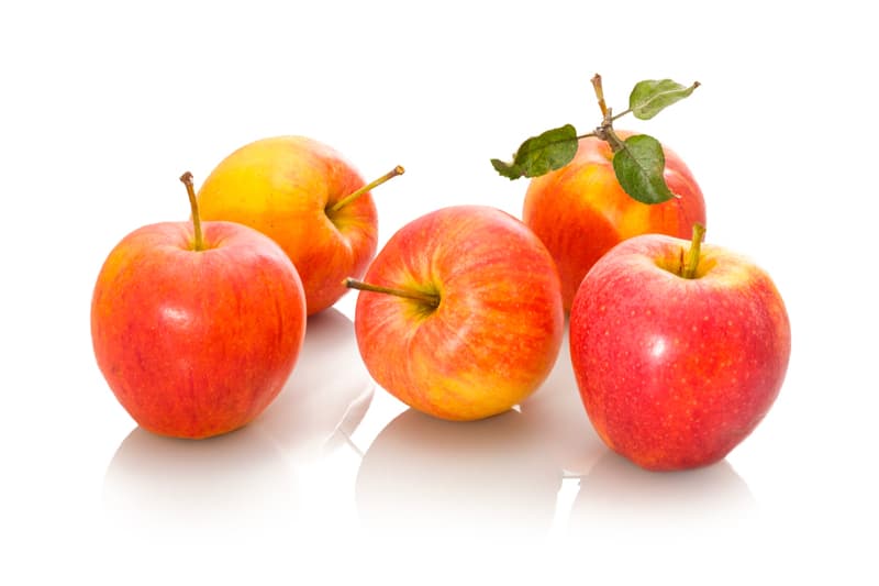Sonnenobst Habeler Apfel Elstar