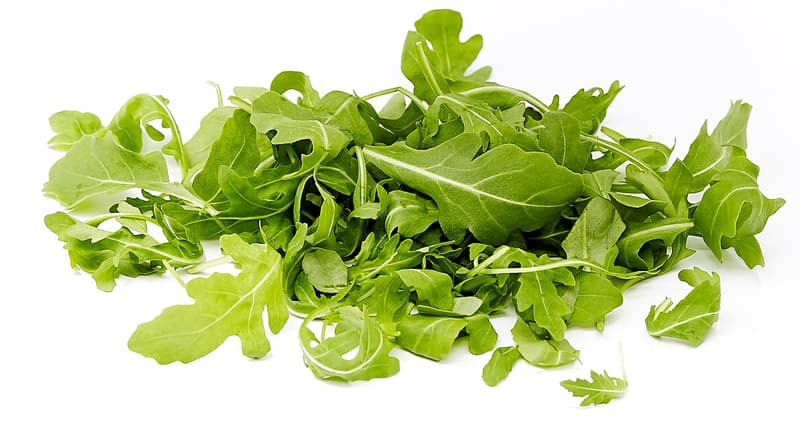 Efko Rocket Salad
