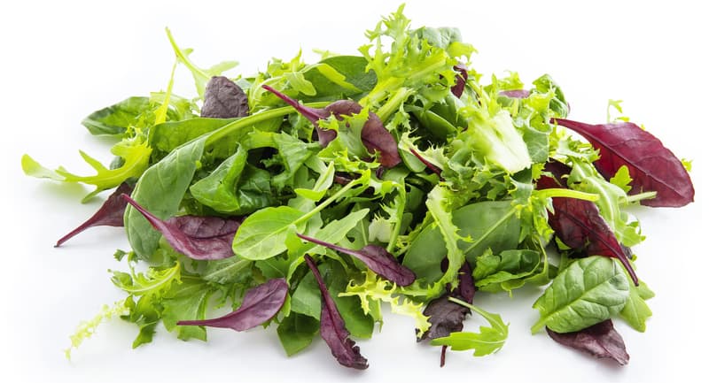 Efko Babyleaf Mix Salad