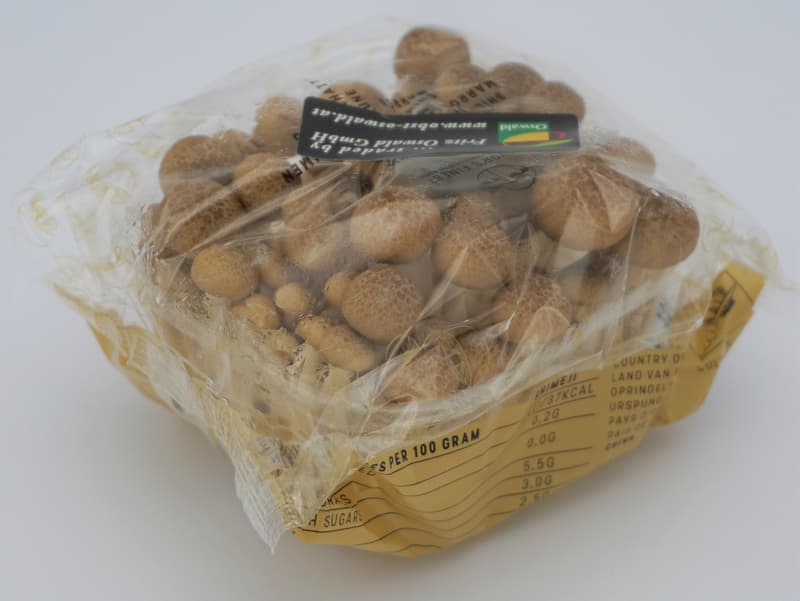 Buchenpilze braun