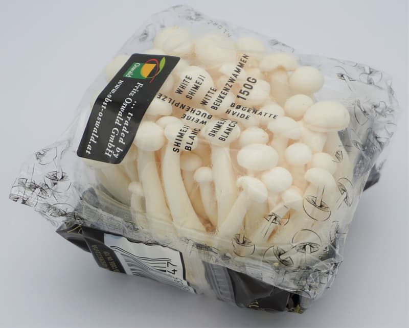 Buchenpilze weiß