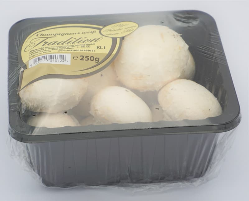 Champignon weiß