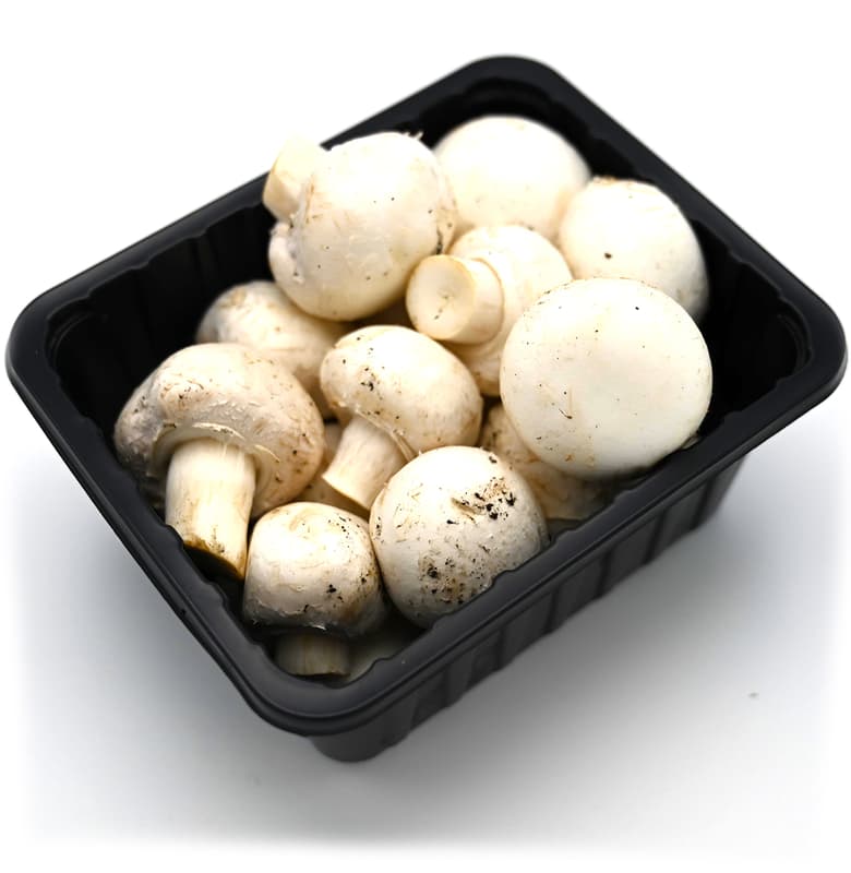 Champignon weiß