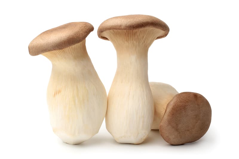Hut & Stiel BIO Wiener Kräuterseitlinge
