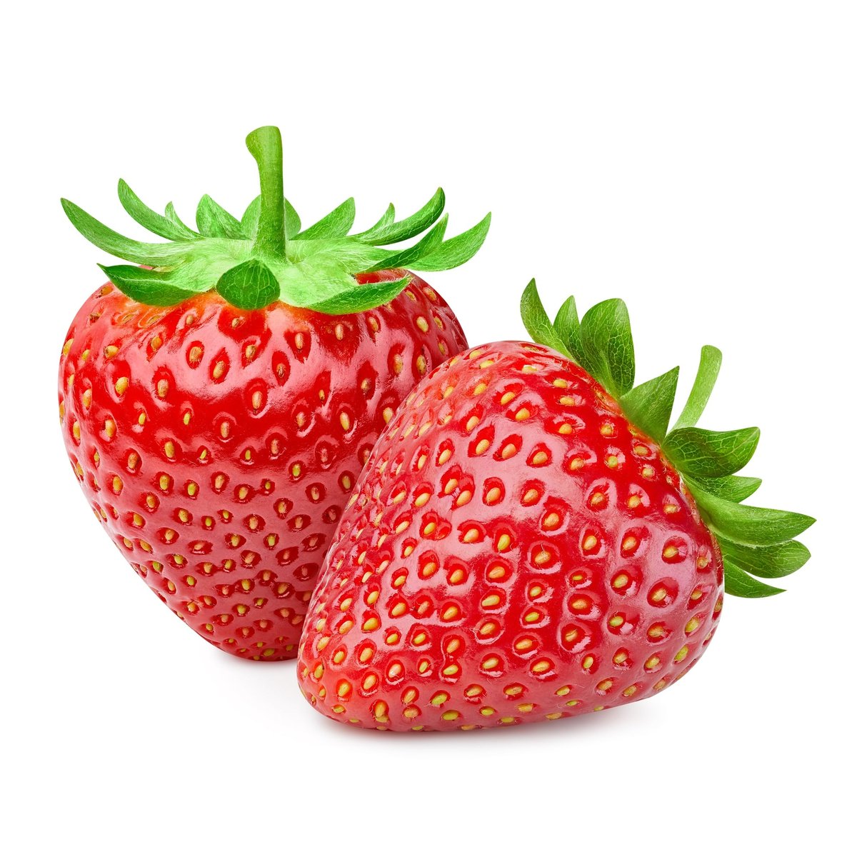 Brandenstein BIO Erdbeeren