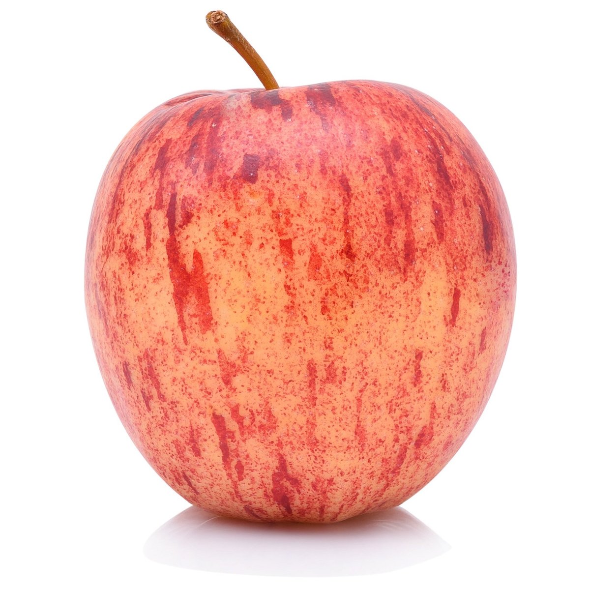 BIO Apfel Gala