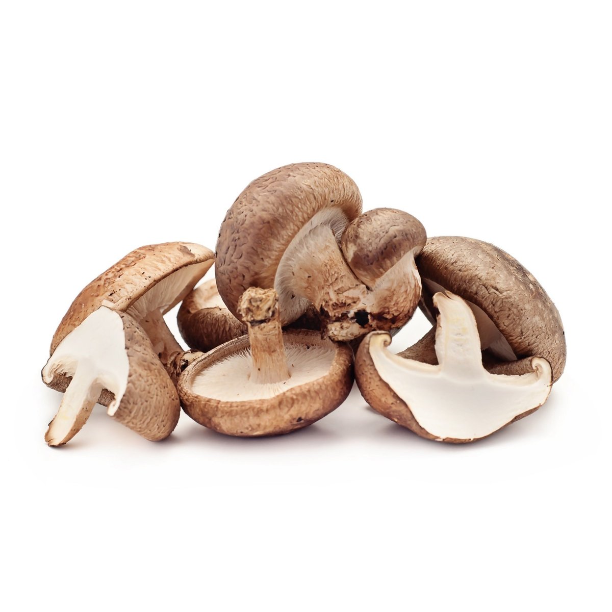 Hut & Stiel BIO Shiitake Pilze