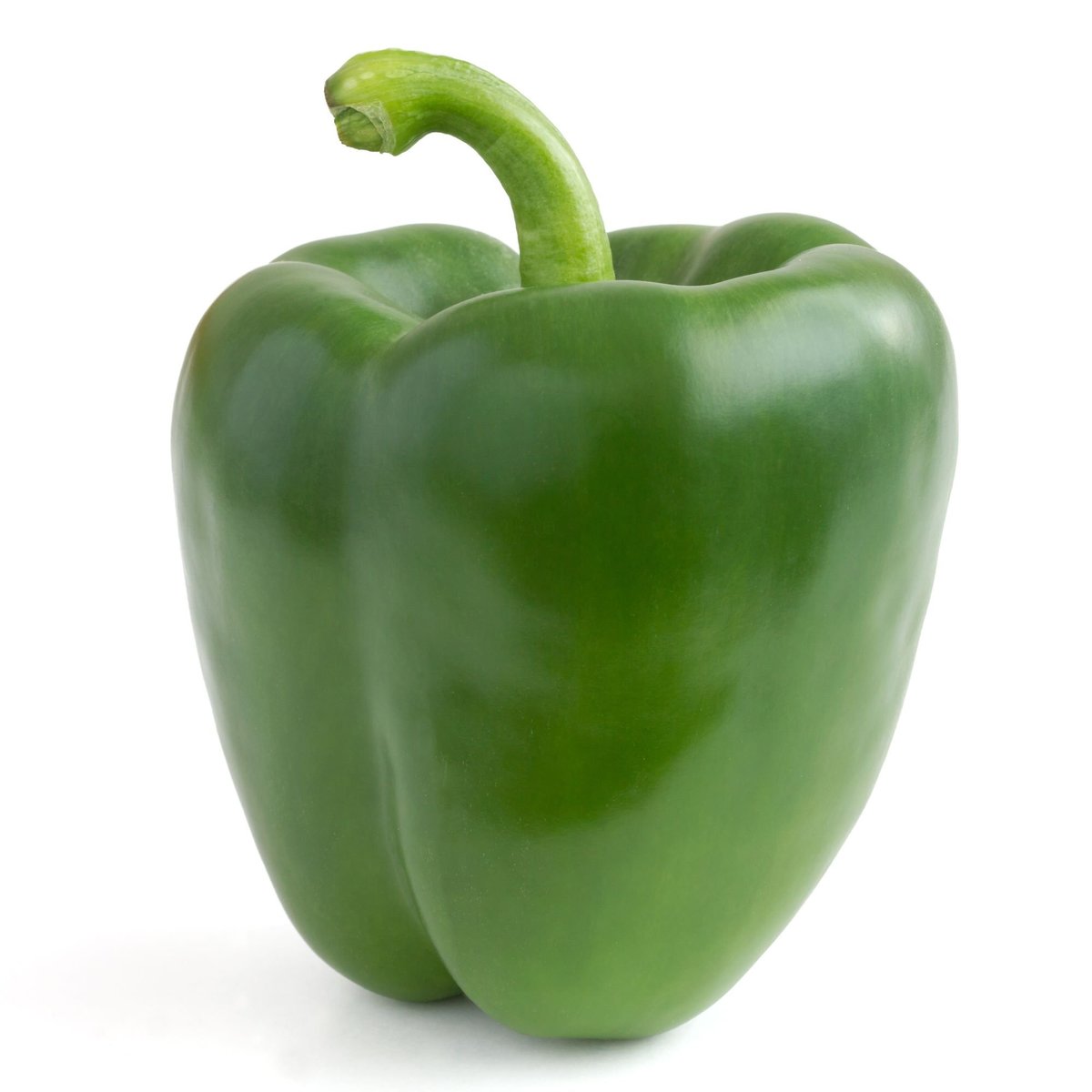 BIO Paprika grün