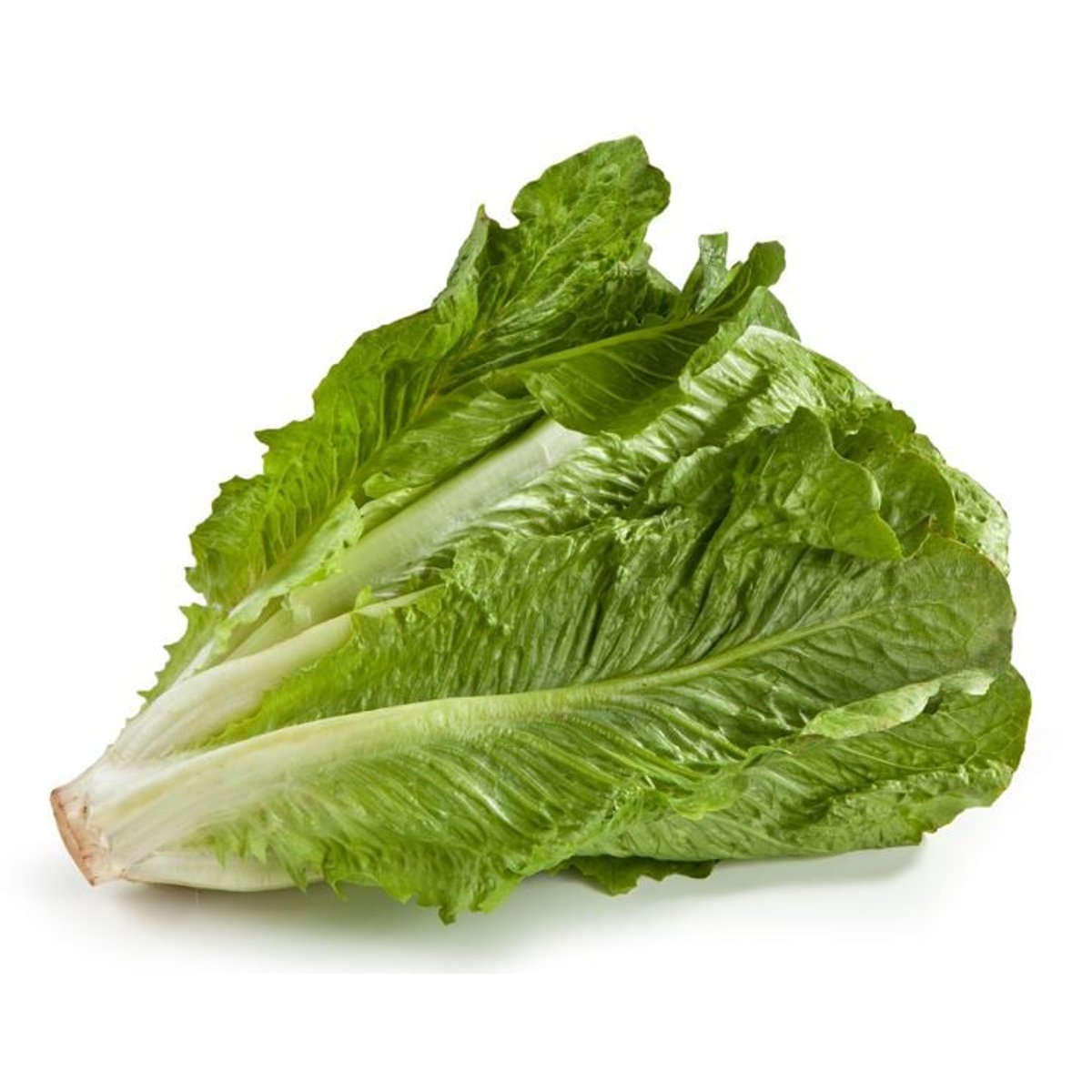 BIO Romanasalat grün