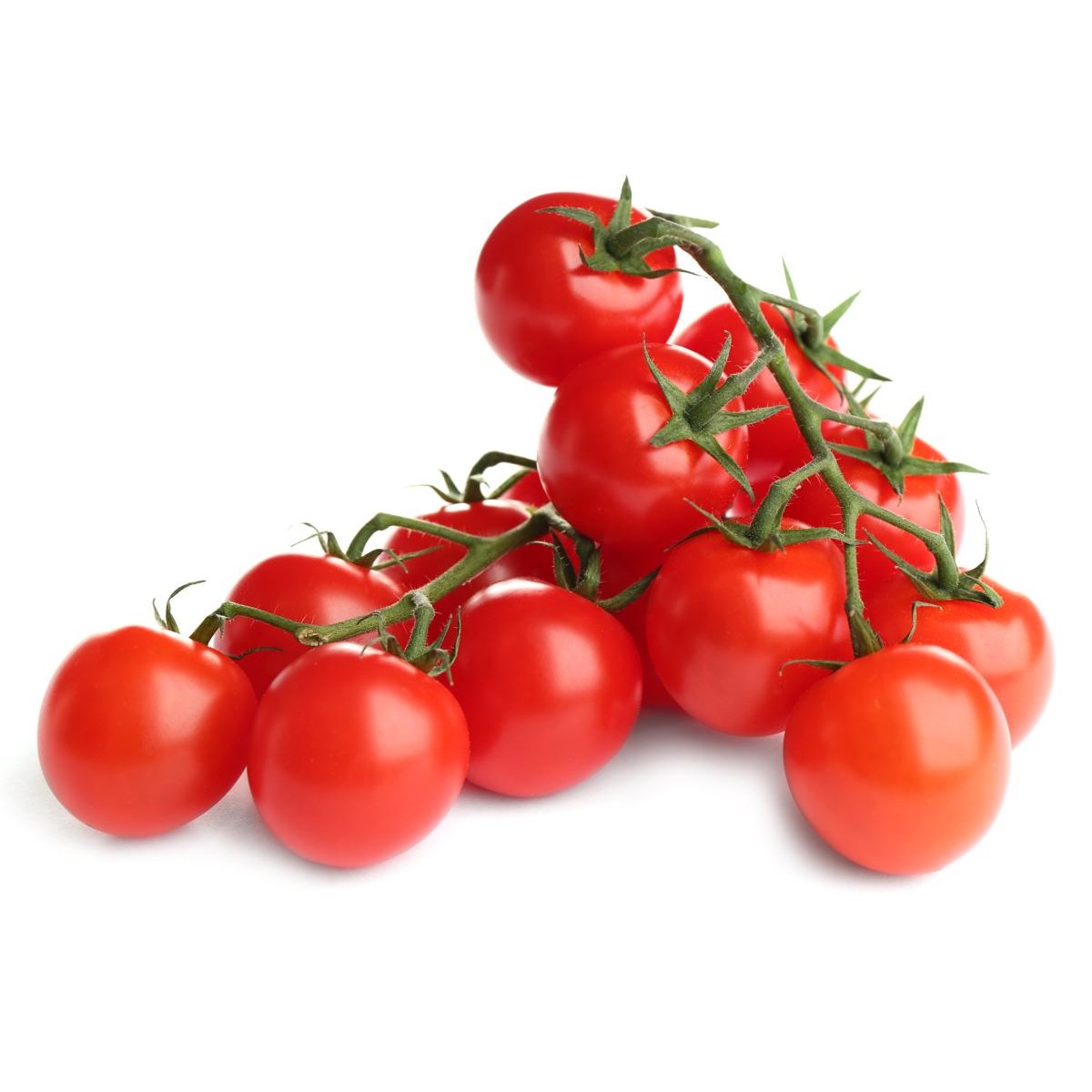 BIO Wiener Cherry an der Rispe