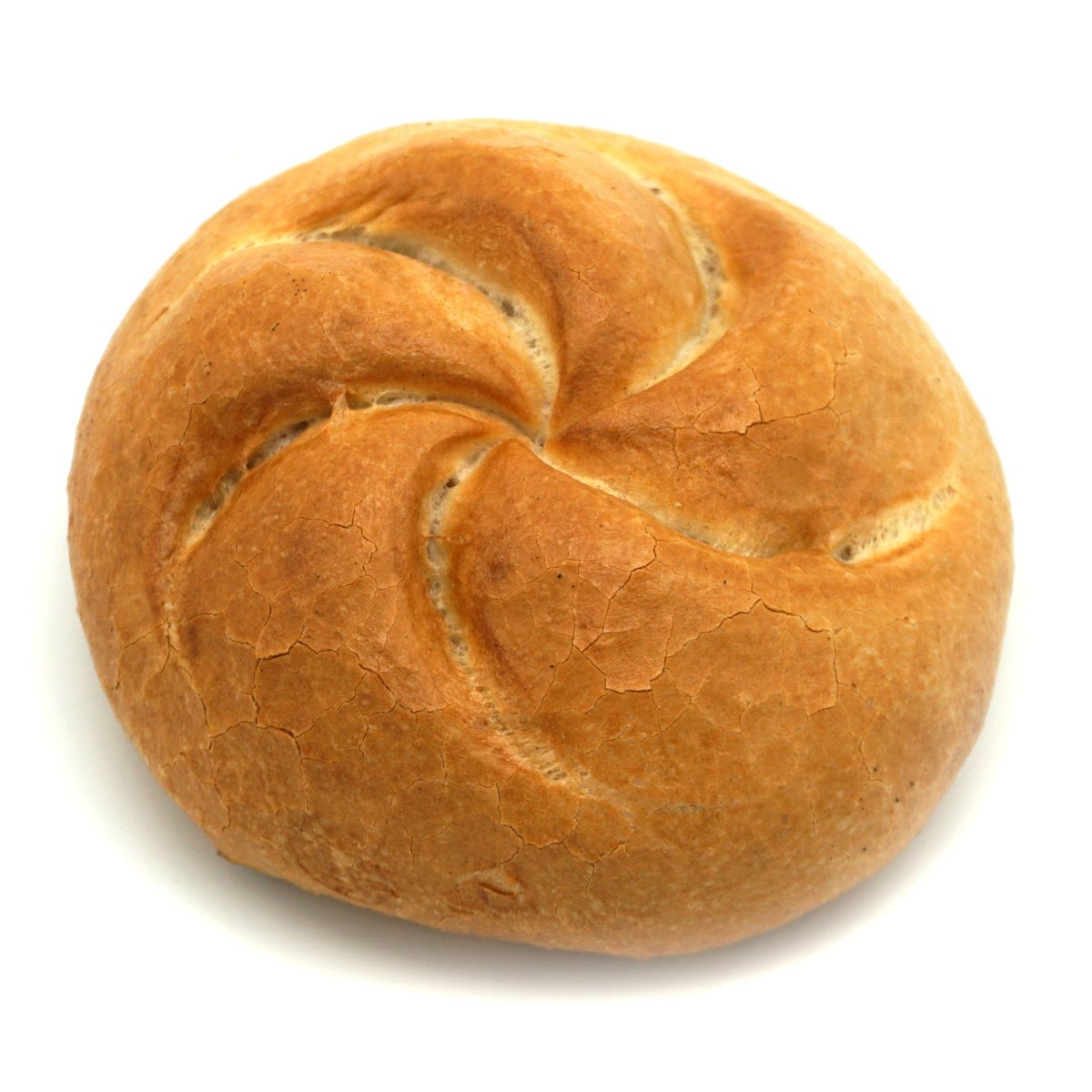 BIO Semmel