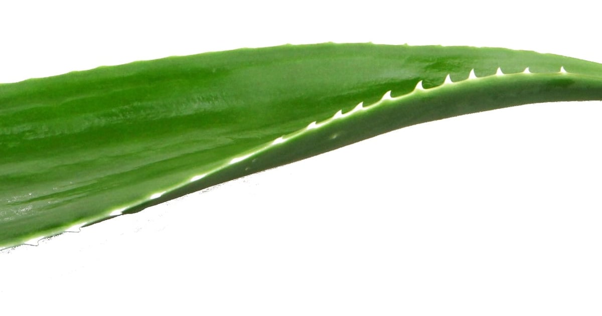 can aloe vera be used as moisturizer Aloe Vera Refreshing Body Gel main image 1