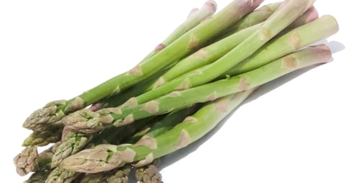 Brandenstein BIO Spargel - Classic, grn
