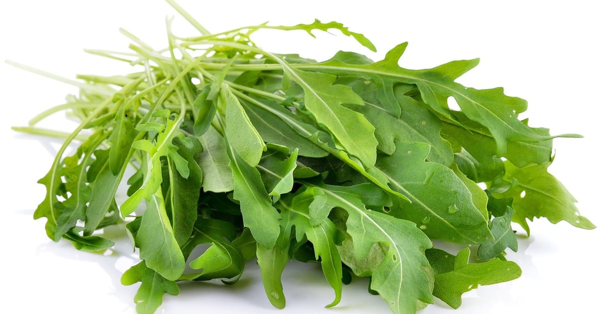 Baby Rucola