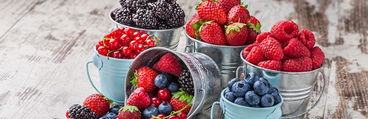 Vitaminbomben im Spätsommer