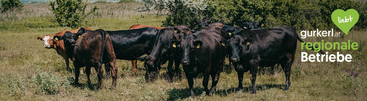 Bio-Landgut Esterházy