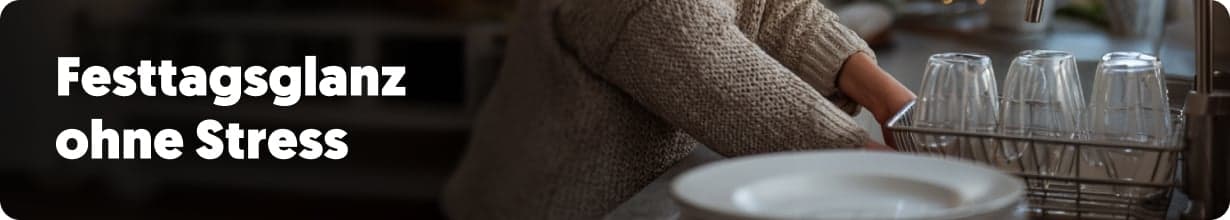 Der große Weihnachtsputz