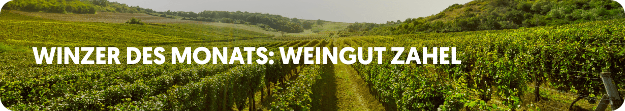 🍷Winzer des Monats