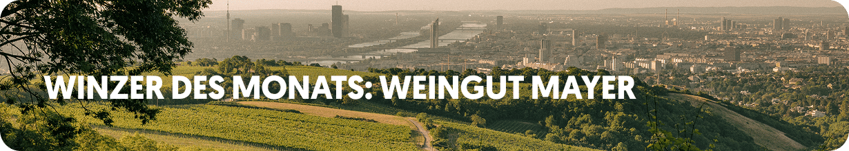 🍷Winzer des Monats