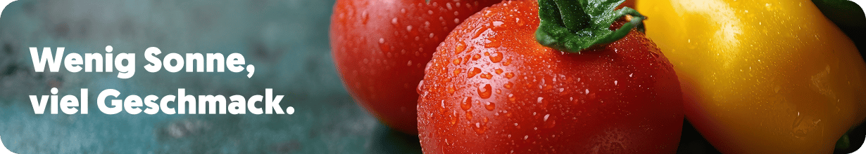 🌤️ Sonne in Spanien