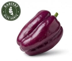 BIO Paprika Rarität "Tequila"