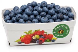 Biobeerengarten Hummel BIO Heidelbeeren