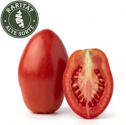 BIO Paradeiser Rarität "Myriade"