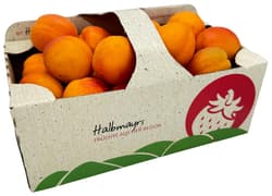 Halbmayrs Marillen
