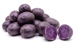 Breitseher Kartoffel violett