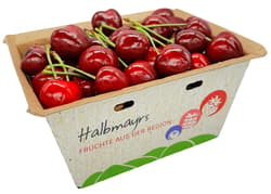 Halbmayrs Kirschen