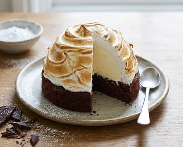 Baked Alaska with Chocolate Base