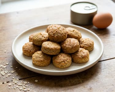 Tuna Dog Treats
