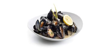 Muscheln in Wein