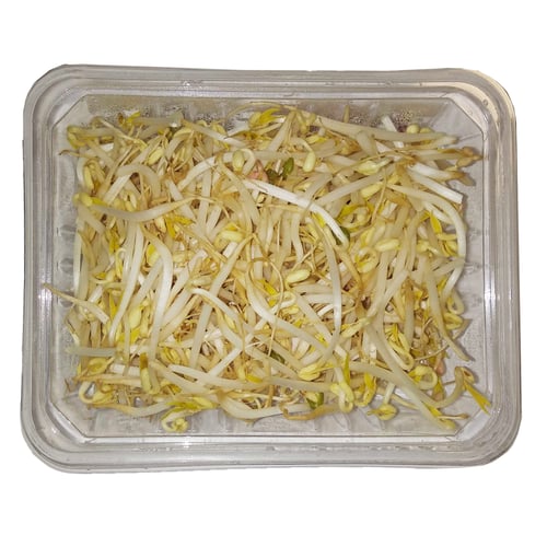 BIO Mungosprossen in der Tasse - Gurkerl.at — dein neuer Online-Markt