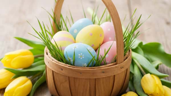 🐣 Ostern steht vor der Tür 2026