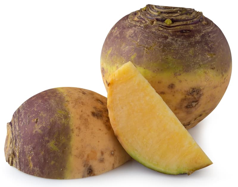 Turnip