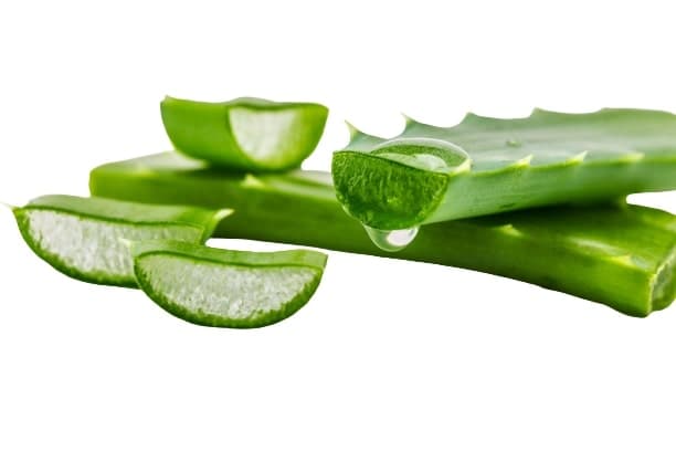 BIO Aloe Vera Fresh Leaf