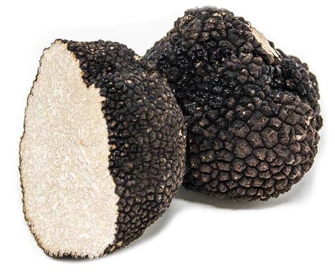 Fresh truffle, black