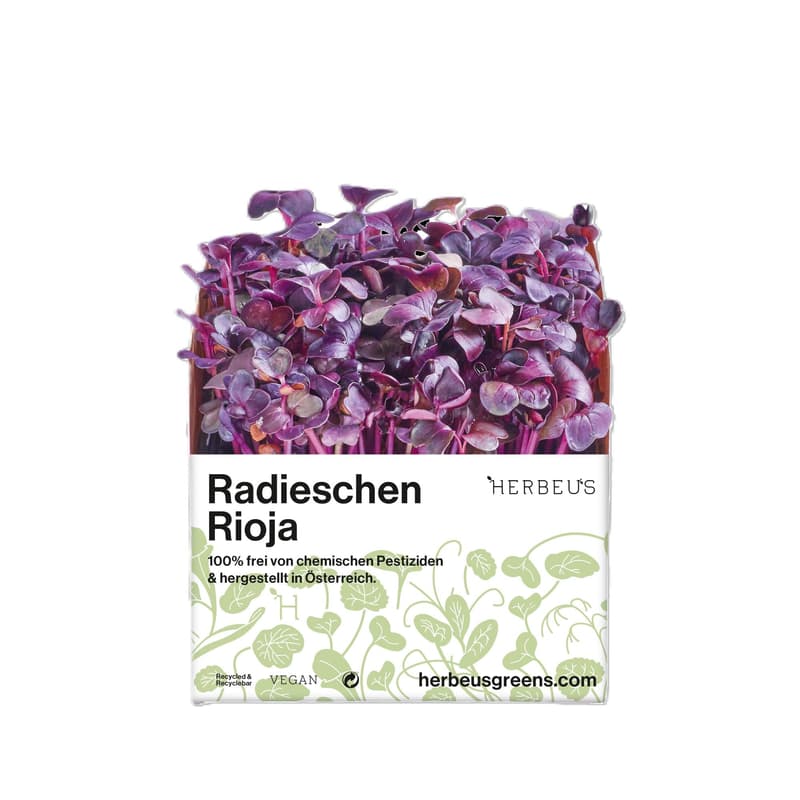 Herbeus Radieschen Rioja Sprossen