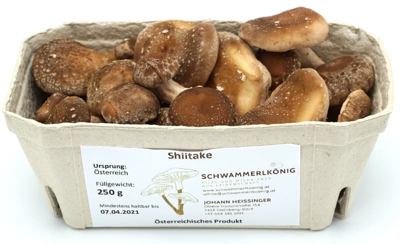 BIO Shiitake Pilze