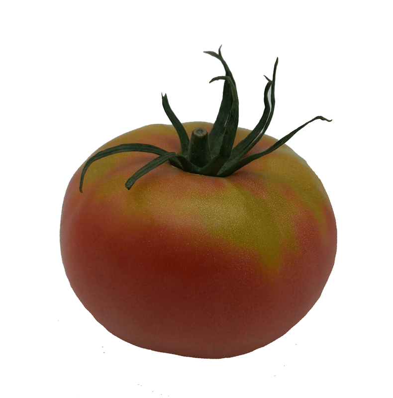 Blün "Rosebeef" tomatoes