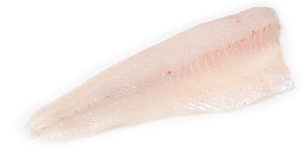 Fish? Fresh! Zanderfilet mit Haut
