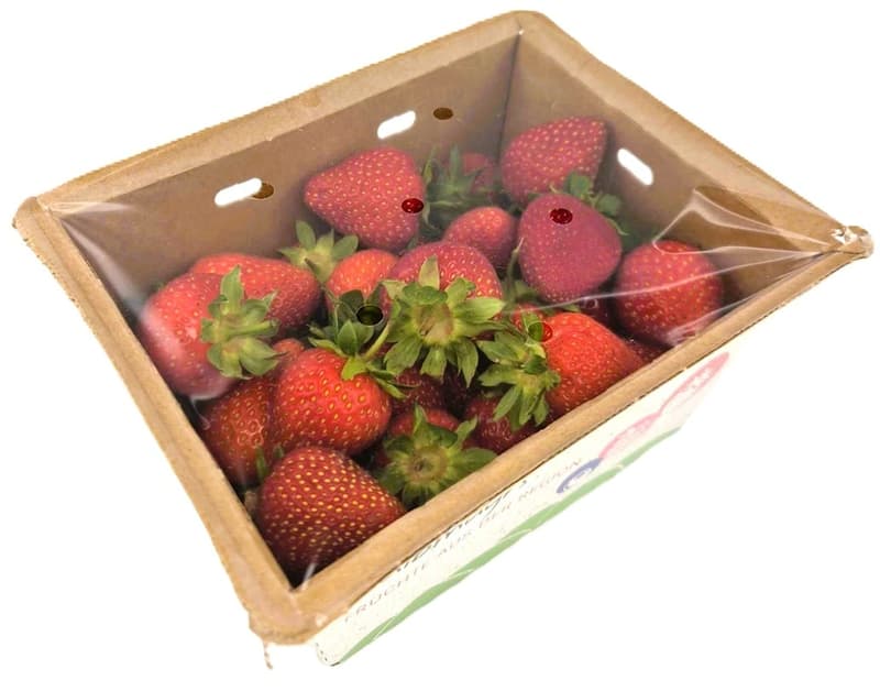 Halbmayrs Frische Erdbeeren