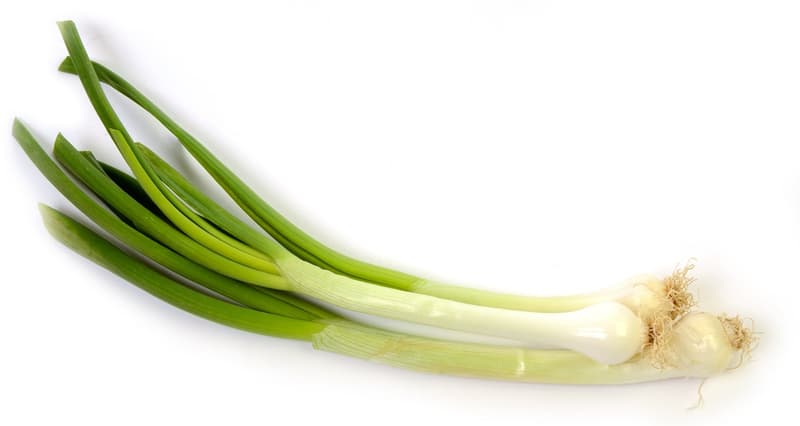 BIO Jungzwiebeln