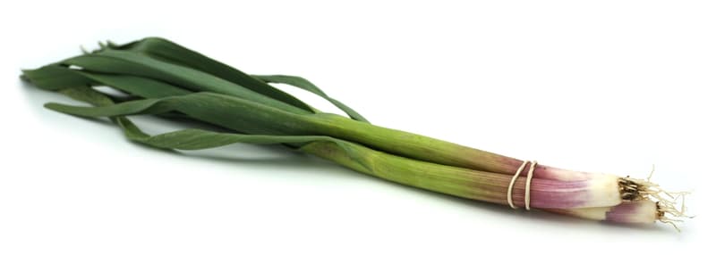 BIO young garlic