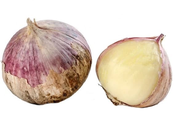 Bulb Garlic