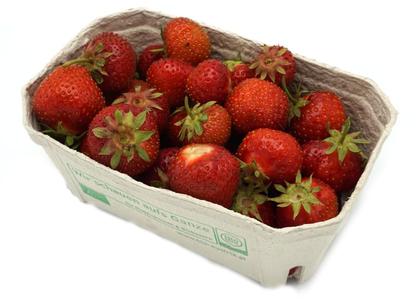 Brandenstein BIO Erdbeeren